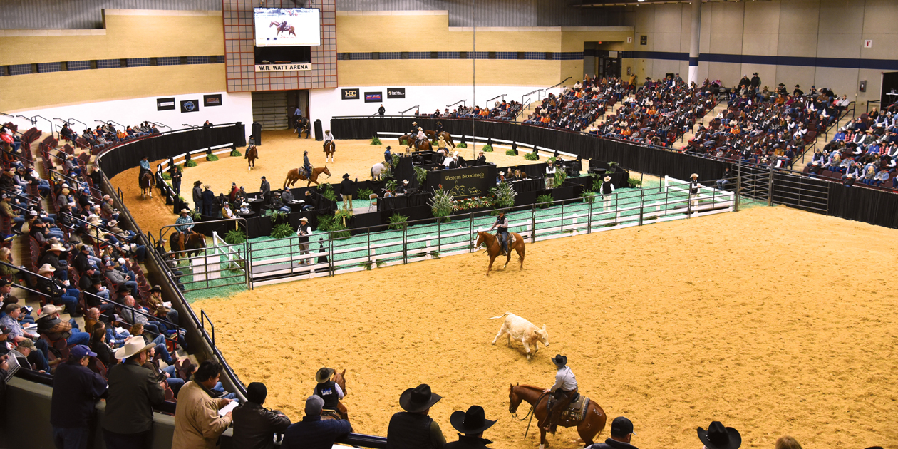 Sales Western Bloodstock, Ltd.