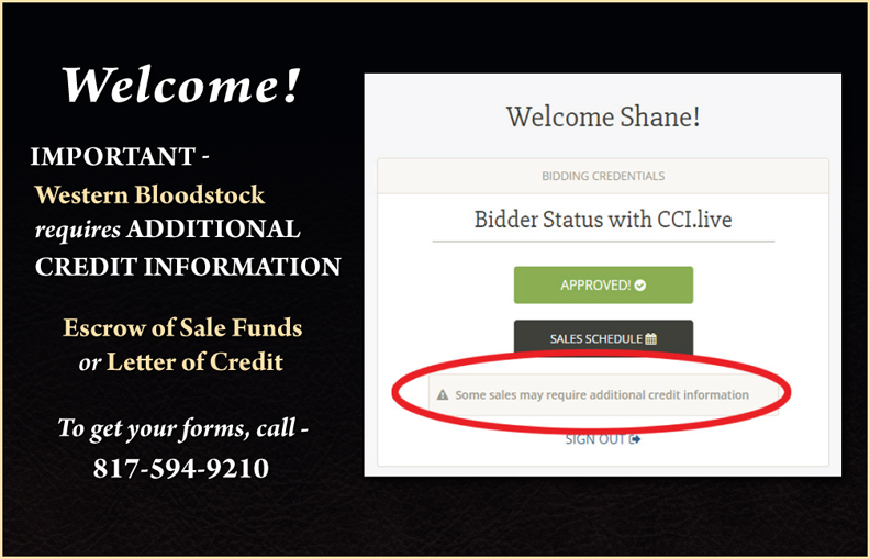 Online_bidding_slider_4