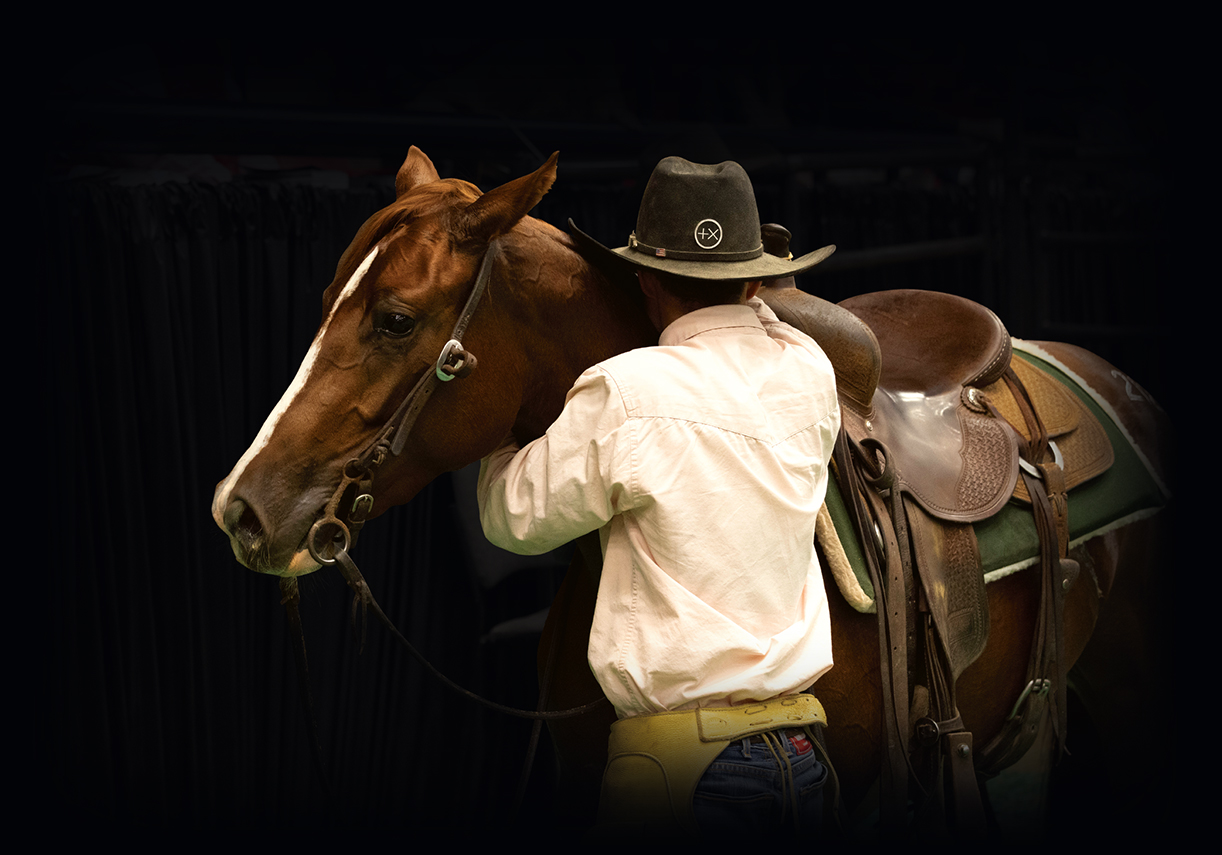 2025 NCHA Futurity Sales Western Bloodstock, Ltd.