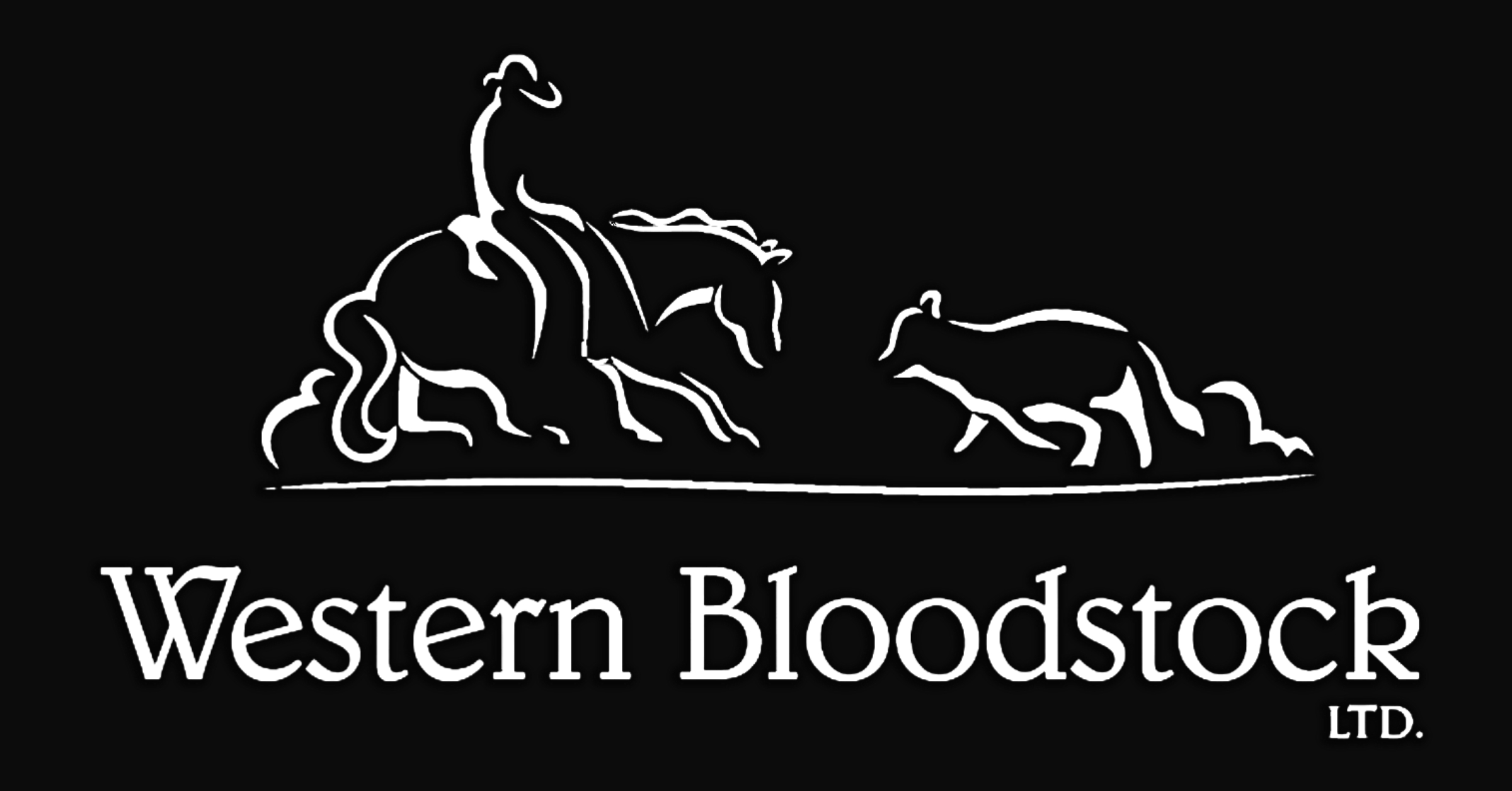 A performance horse offered through Western Bloodstock